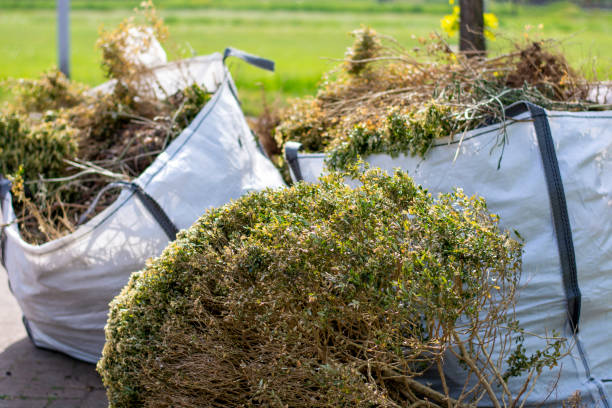 Best Junk Hauling Services  in Canal Winchester, OH